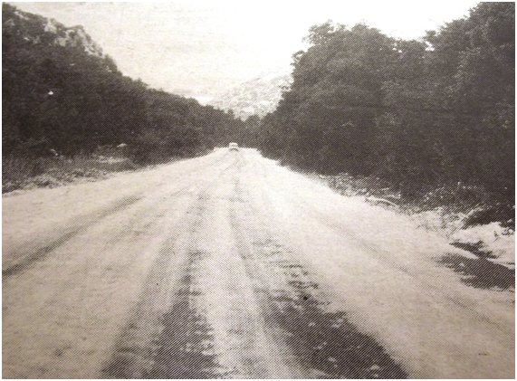 Las Nevadas En Mallorca: Años 90 Las Nevadas En Mallorca: Años 90