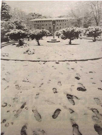 Las Nevadas En Mallorca: Años 90 Las Nevadas En Mallorca: Años 90