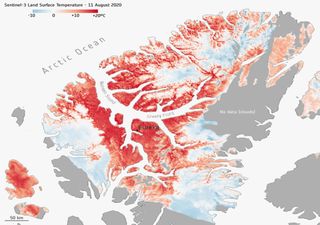 Las olas de calor árticas dejan huellas que perduran años después del evento climático