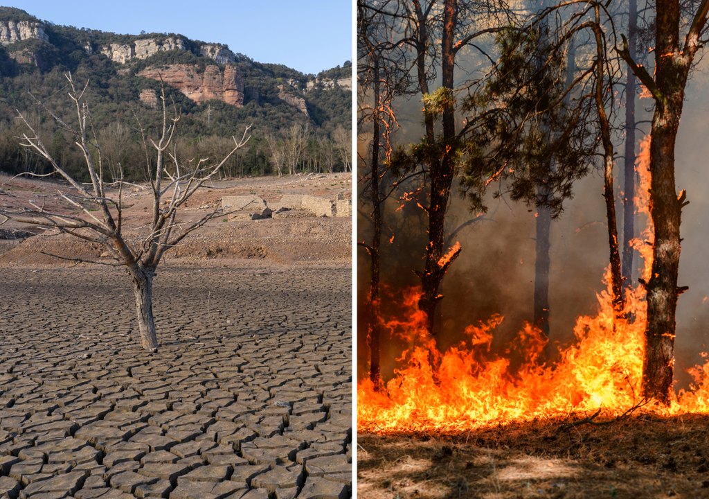 El calor extremo activa un efecto dominó: suelos agrietados por la sequía, vegetación altamente inflamable y mayor riesgo de incendios forestales, mientras la escasez de agua tensiona el abastecimiento y otros servicios esenciales.