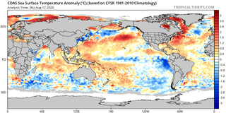 Olas de calor en el mar y los desplazamientos de la vida marina