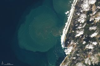 Las olas monstruo de Nazaré, Portugal