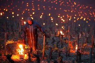 Las peores heladas en décadas