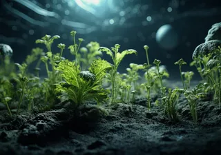 Plants could grow on the lunar surface and provide nutrients and oxygen, astrobiologists confirm