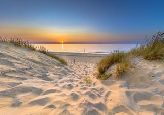 La Universidad de Valencia advierte de los impactos de la restauración de playas y dunas sobre estos ecosistemas