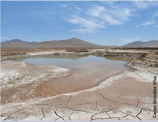 Las primeras lluvias en siglos en el desierto de Atacama devastan su vida microbiana