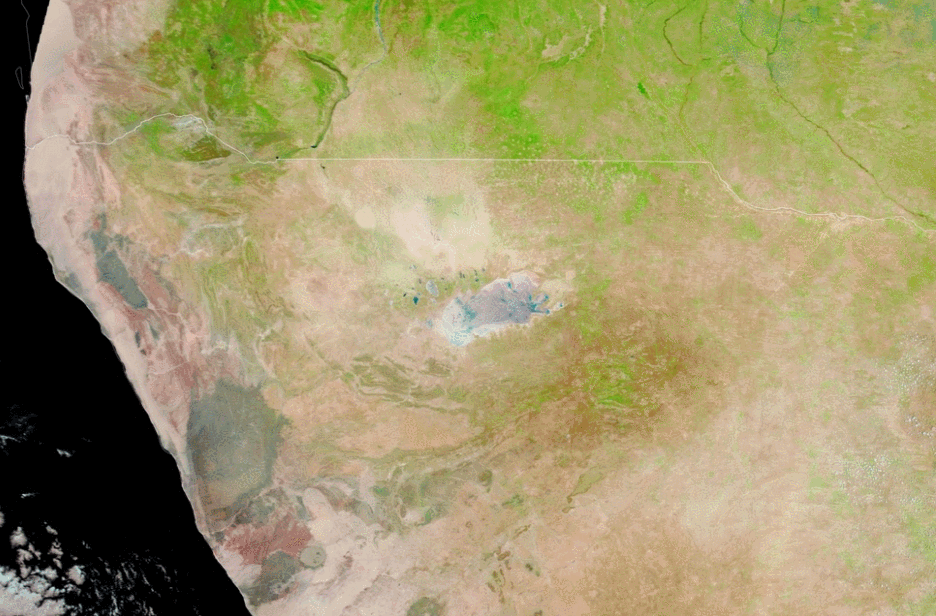 Las recargas de agua en el parque nacional de Etosha