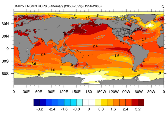 Las Sardinas Se Mudan Al Norte Por El Calentamiento De Los Océanos Figura 2.- Proyección climática con la anomalía en la SST (temperatura superficial oceánica) durante la segunda mitad del presente siglo. Fuente: ESRL de la NOAA.