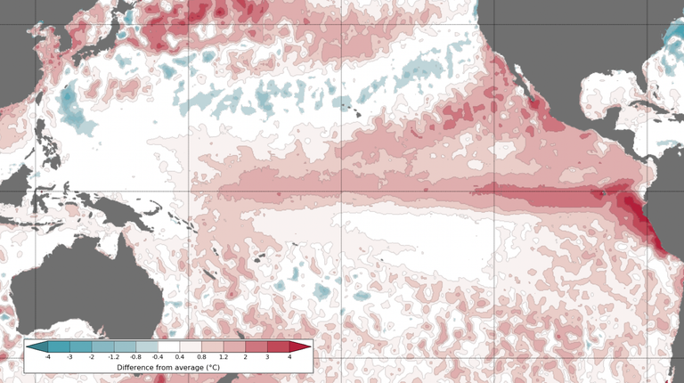 El Ni&ntilde;o ya da se&ntilde;ales claras en el Pac&iacute;fico: qu&eacute; anomal&iacute;as confirman su avance y c&oacute;mo podr&iacute;a influir en Chile