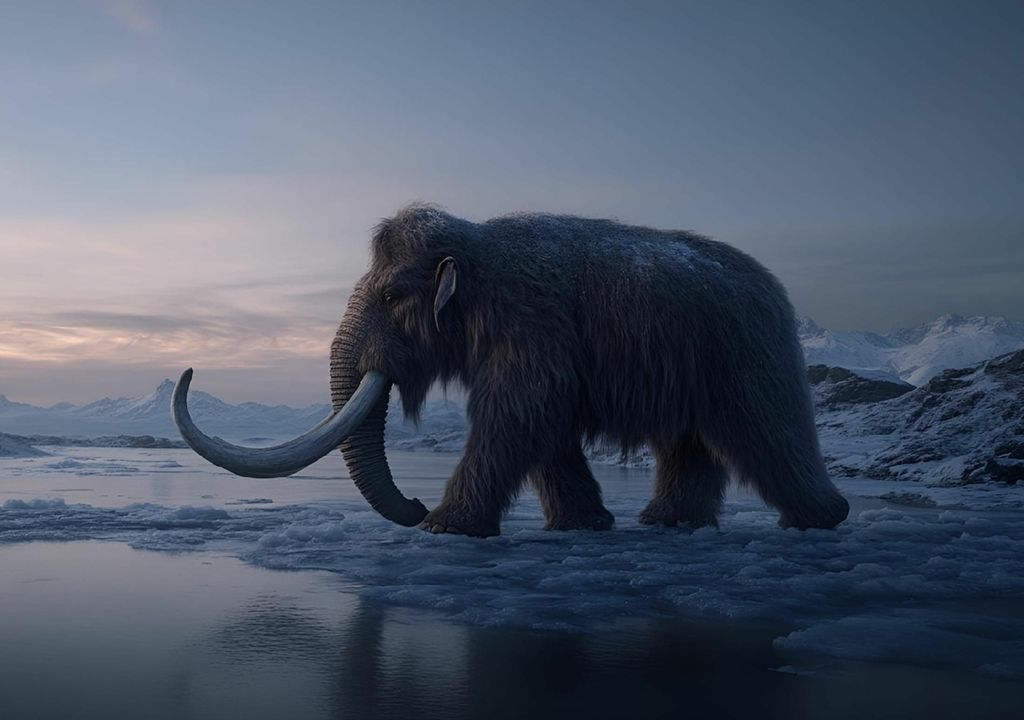 Mammuthus primigenius mamut lanudo