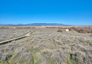 Las Tablas de Daimiel agonizan, ¡apenas 65 hectáreas inundadas!