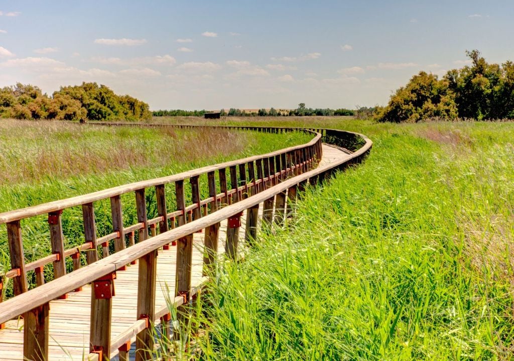 En los últimos años se han realizado aportes de agua desde infraestructuras externas