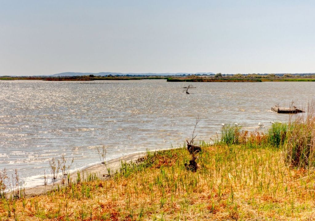 Si las altas temperaturas se combinan con una gestión insuficiente del agua, el humedal podría entrar en una nueva fase de deterioro severo