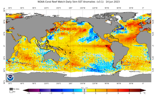 Las temperaturas del aire y de la superficie del mar alcanzan nuevos récords