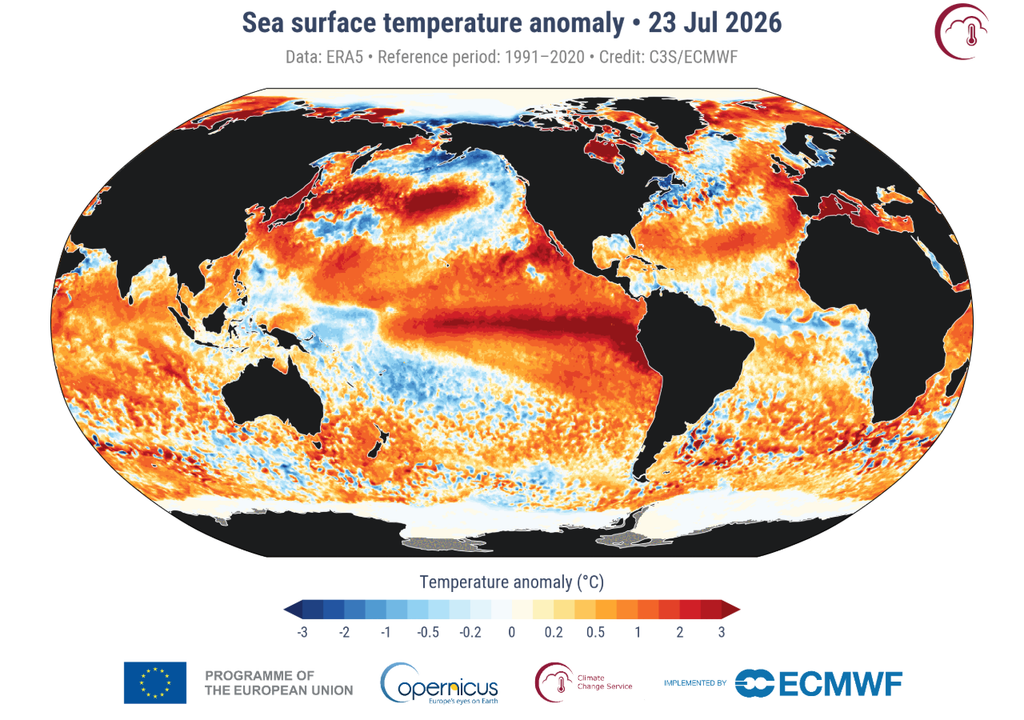 Temperatura océanos Gran parte de las anomalías en las temperaturas superficiales de los océanos son muy cálidas.