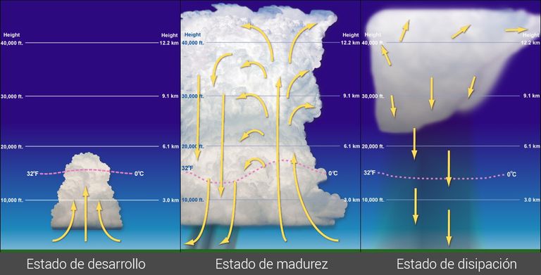 Fases de una tormenta Fases de una tormenta