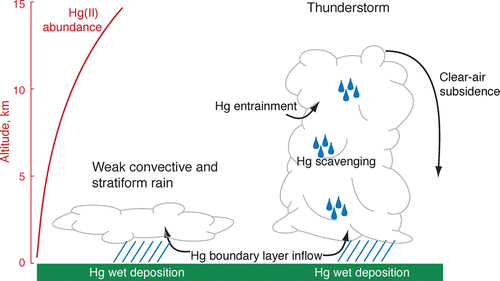Las tormentas propagan la contaminación del mercurio