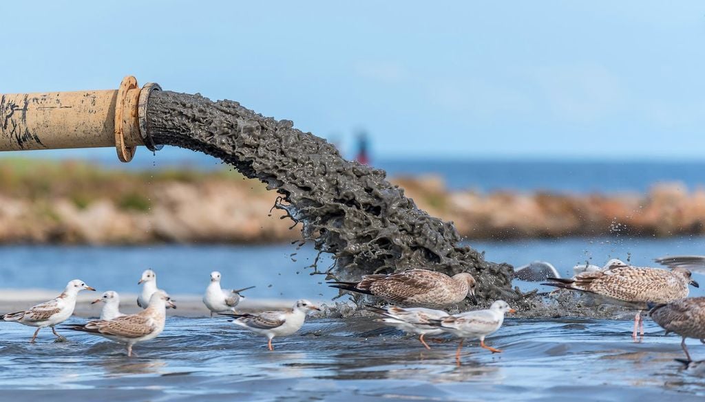 Contaminación en el mar Báltico por vertidos La contaminación por nutrientes, el cambio climático y la presión humana aceleran una crisis ambiental que amenaza uno de los mares más afectados de Europa.