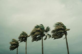 Latest Updates on Products and Services for the Upcoming Hurricane Season