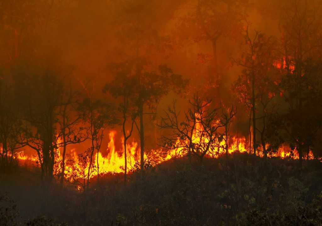 Fires in Latin America are getting worse