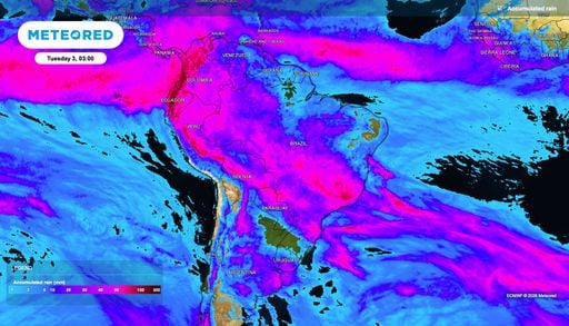 Lavouras de gr&atilde;os recebem chuvas de at&eacute; 80 mm nos pr&oacute;ximos dias; confira as regi&otilde;es beneficiadas