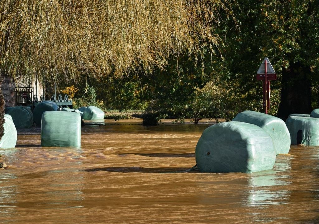 Con la scomparsa degli ambienti costieri molte zone litoranee italiane rischiano di subire pesanti alluvioni durante le tempeste più violente.