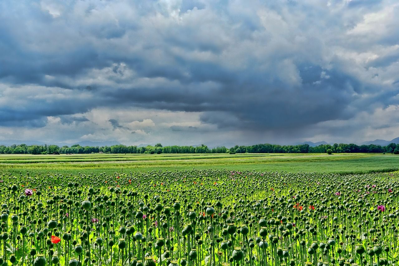 Météo et nuages : comment prédire le beau temps?