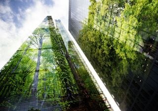 Le citt&agrave; che imitano gli ecosistemi: dalla natura l'esempio per un'urbanistica sostenibile