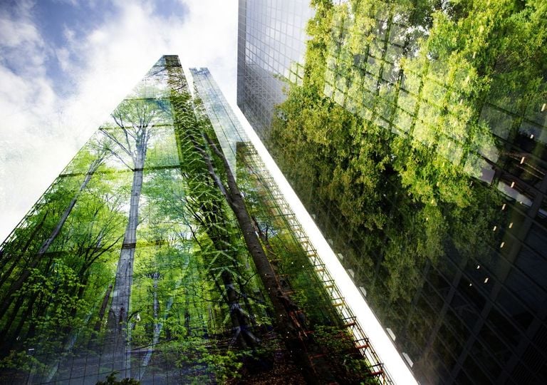 Le citt&agrave; che imitano gli ecosistemi: dalla natura l'esempio per un'urbanistica sostenibile