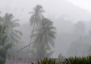 Le depressioni tropicali monsoniche: la causa delle piogge torrenziali scatenate dal monsone indiano