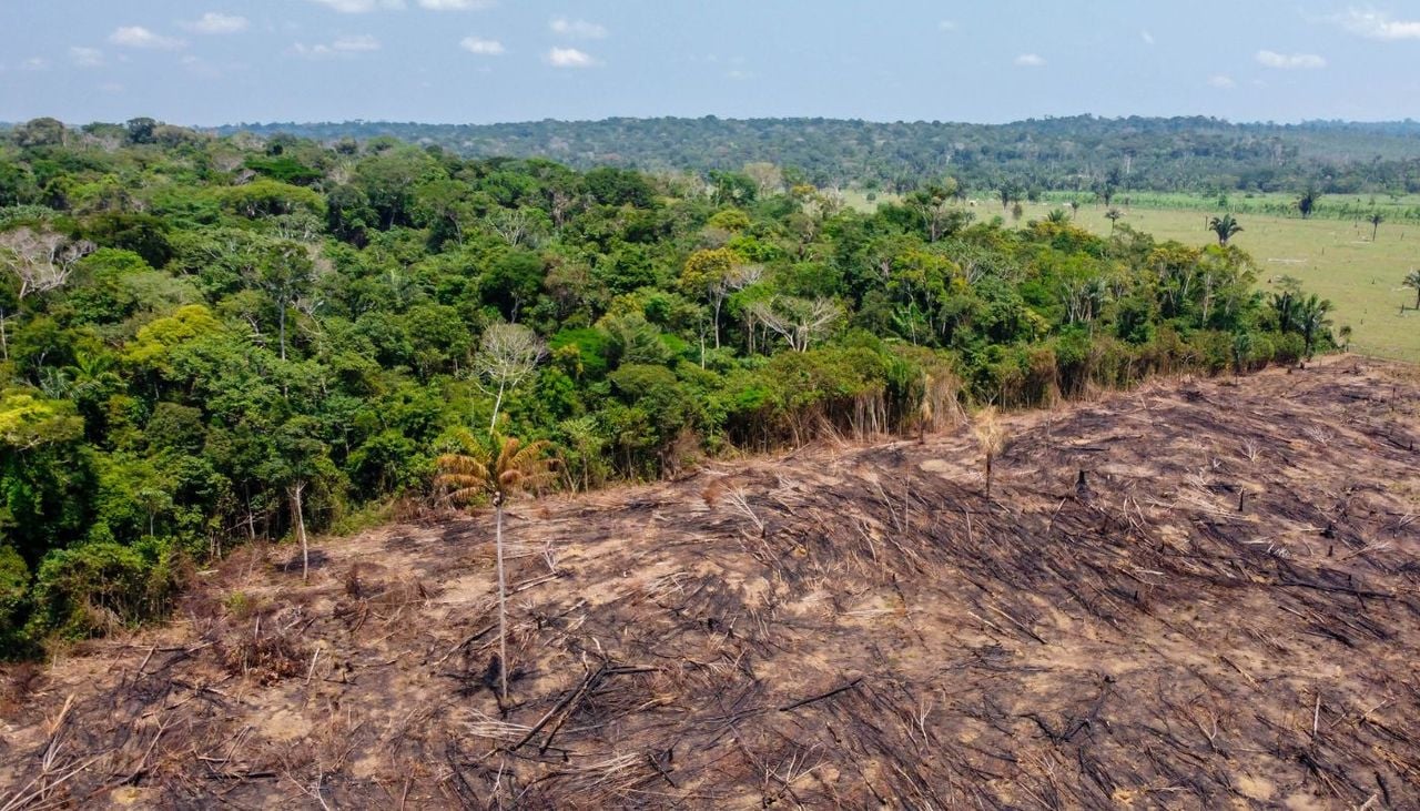 Un incendio ha distrutto un lembo della foresta Amazzonica in Brasile