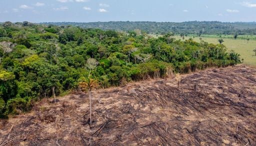 Le foreste primarie sono a rischio, ma hanno i loro guardiani: chi sono i 6 leader indigeni premiati dall&rsquo;IUCN