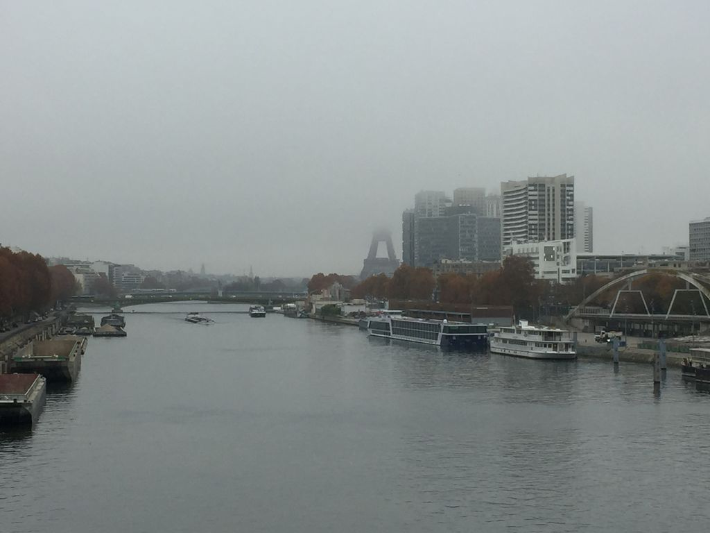 Après les brouillards de l'automne, le froid de l'hiver va s'inviter à Paris et en France.
