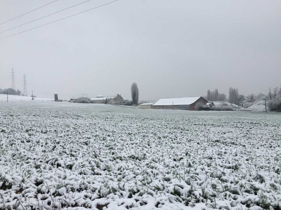 Si le risque de neige demeure incertain pour la semaine prochaine, le froid ne fait désormais plus de doute. Si le risque de neige demeure incertain pour la semaine prochaine, le froid ne fait désormais plus de doute.