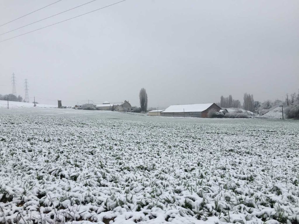 Si le risque de neige demeure incertain pour la semaine prochaine, le froid ne fait désormais plus de doute.