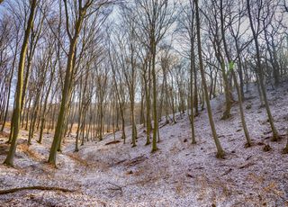 Le froid s'intensifie, la neige attendue localement en plaine