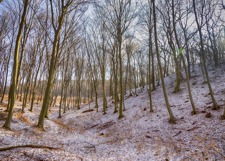 Le froid s'intensifie, la neige attendue localement en plaine Le froid s'intensifie, la neige attendue localement en plaine