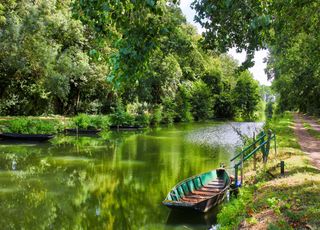 Le marais Poitevin en danger : et si la sécheresse mettait un coup d'arrêt aux promenades en barque ?