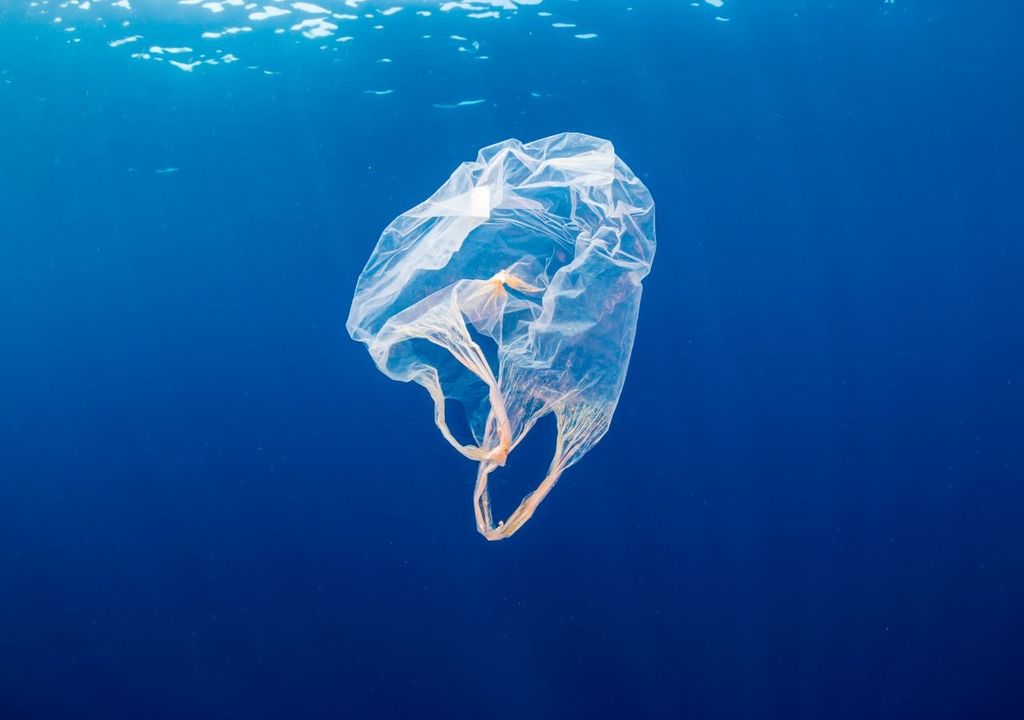 Plastica in mare. Plastica in mare.