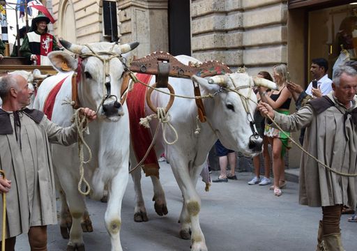 Le migliori feste patronali d'Italia a Ferragosto: guida completa agli eventi da non perdere il 15 agosto