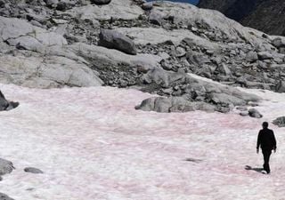 Le mystère de la neige rose des Alpes italiennes