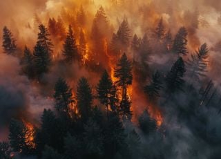 The number of major fires has doubled in the past 20 years around the world, which areas are most affected? 
