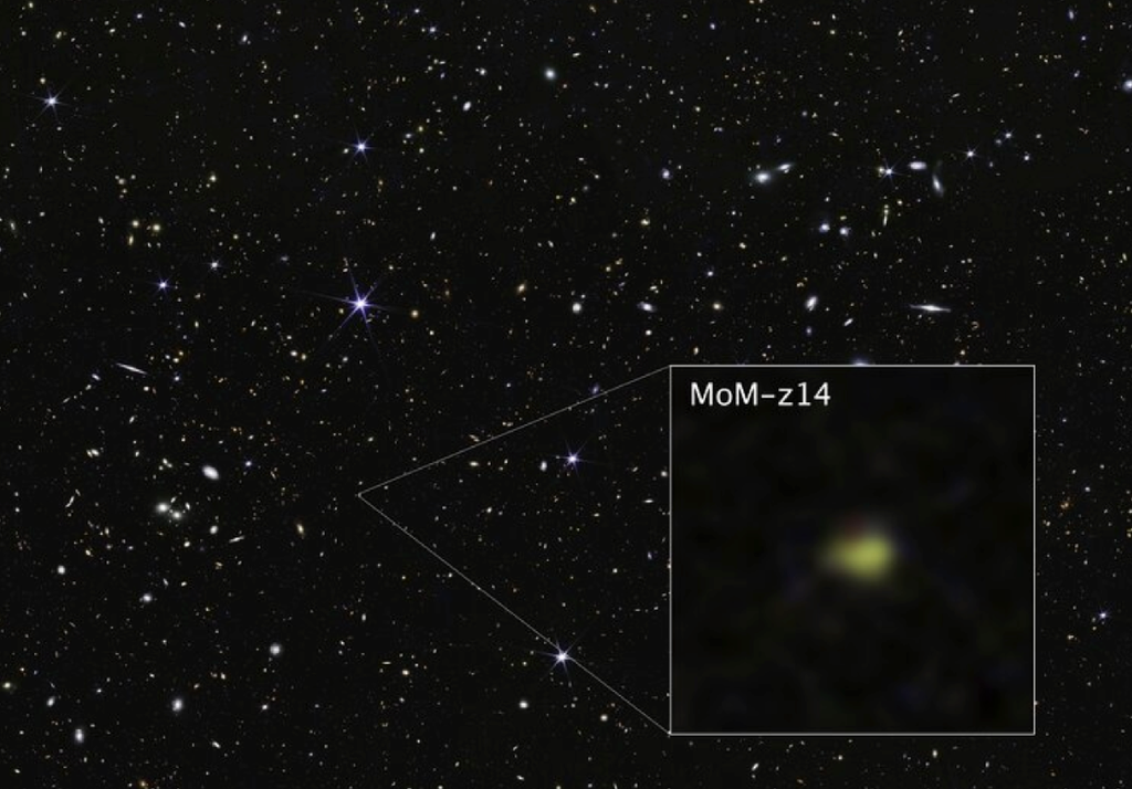MoM-z14 Campo stellare in cui è stata scoperta la galassia MoM-z14 con la camera NirCam di James Webb. Credit: NASA/ESA/CSA