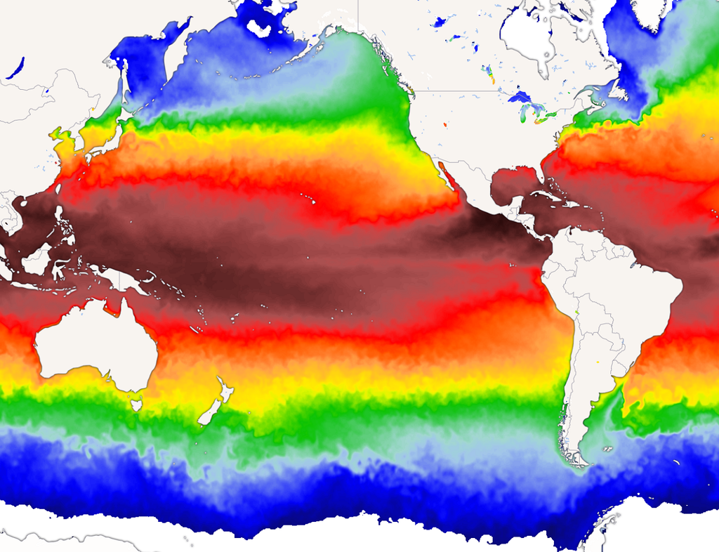 Durant les phases El Niño, les eaux chaudes provenant de l'ouest du Pacifique tropical migrent vers l'est et le centre du bassin océanique.