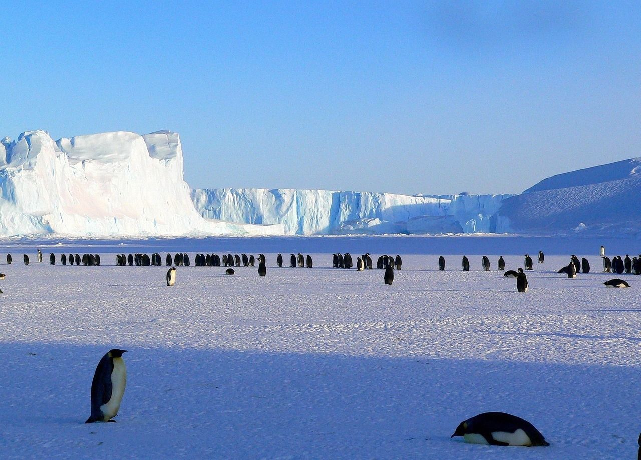 Antarctic Circumpolar Current: Could the Planet's Strongest Ocean ...