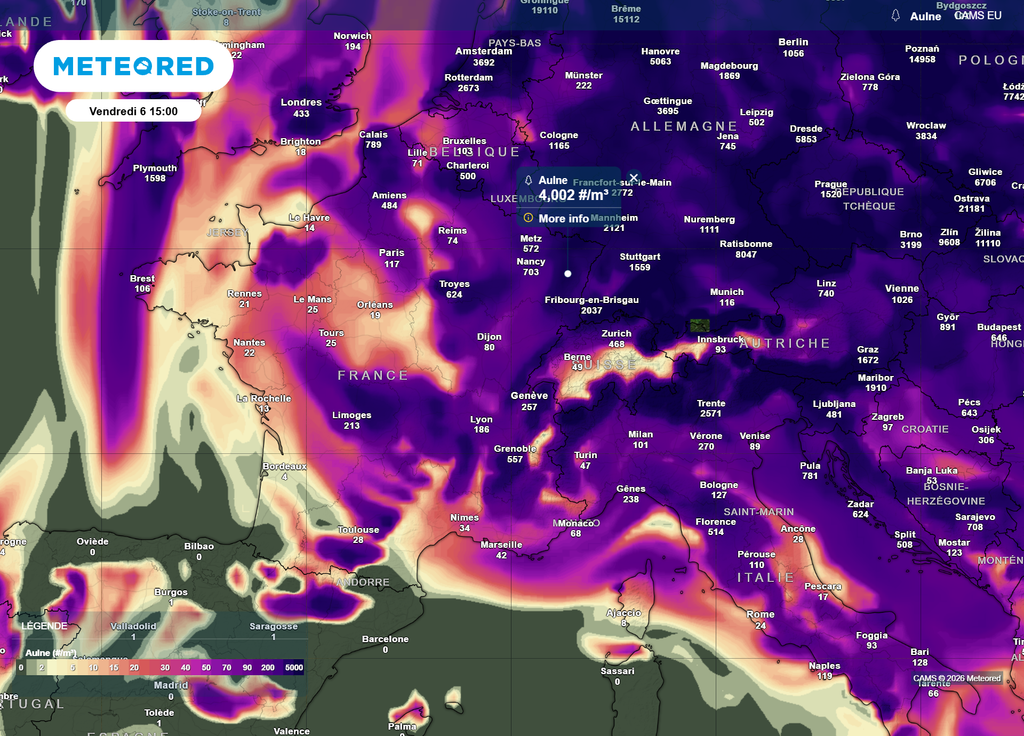 Vendredi, la région Grand-Est sera celle où la concentration en pollens d'aulne sera la plus élevée, d'après nos cartes de modélisation.