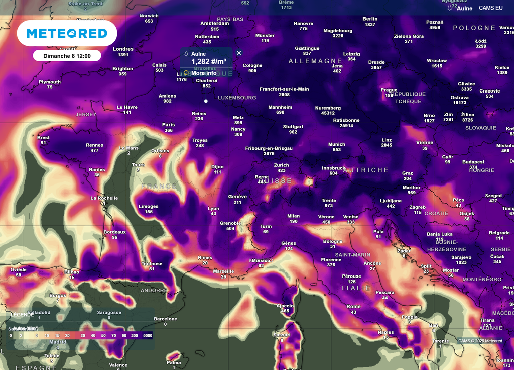 Dimanche, ce sont les régions frontalières du Nord et de l'Est qui seront les plus touchées par le risque allergique, notamment l'Alsace et les Vosges.