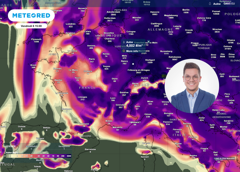 Le pollen va envahir l'air en France ! D&eacute;couvrez les pr&eacute;visions jusqu'au dimanche 8 mars dans votre d&eacute;partement