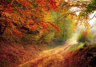 Le previsioni meteo stagionali per l'autunno