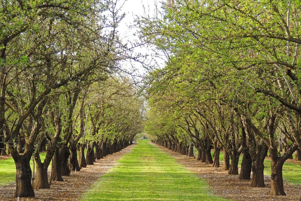 Le printemps, ce n’est pas pour tout de suite ! Le printemps, ce n’est pas pour tout de suite !